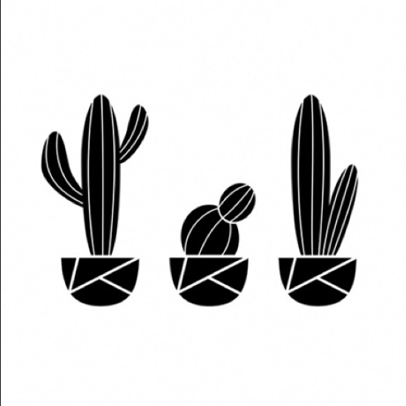 Meet your Posher, Ali - Picture 1 of 1